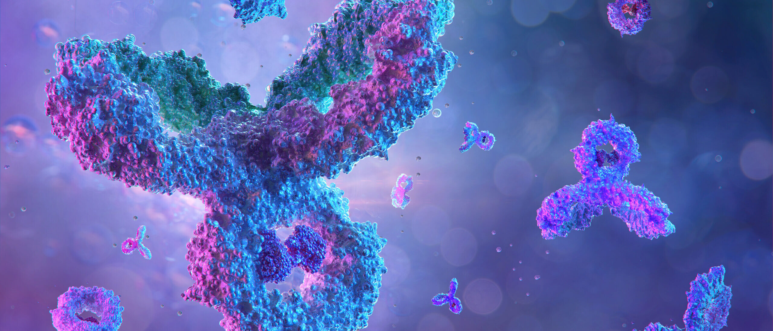 Antikörper, Immunglobulin-Ig-Proteine, 3D-medizinischer Hintergrund.